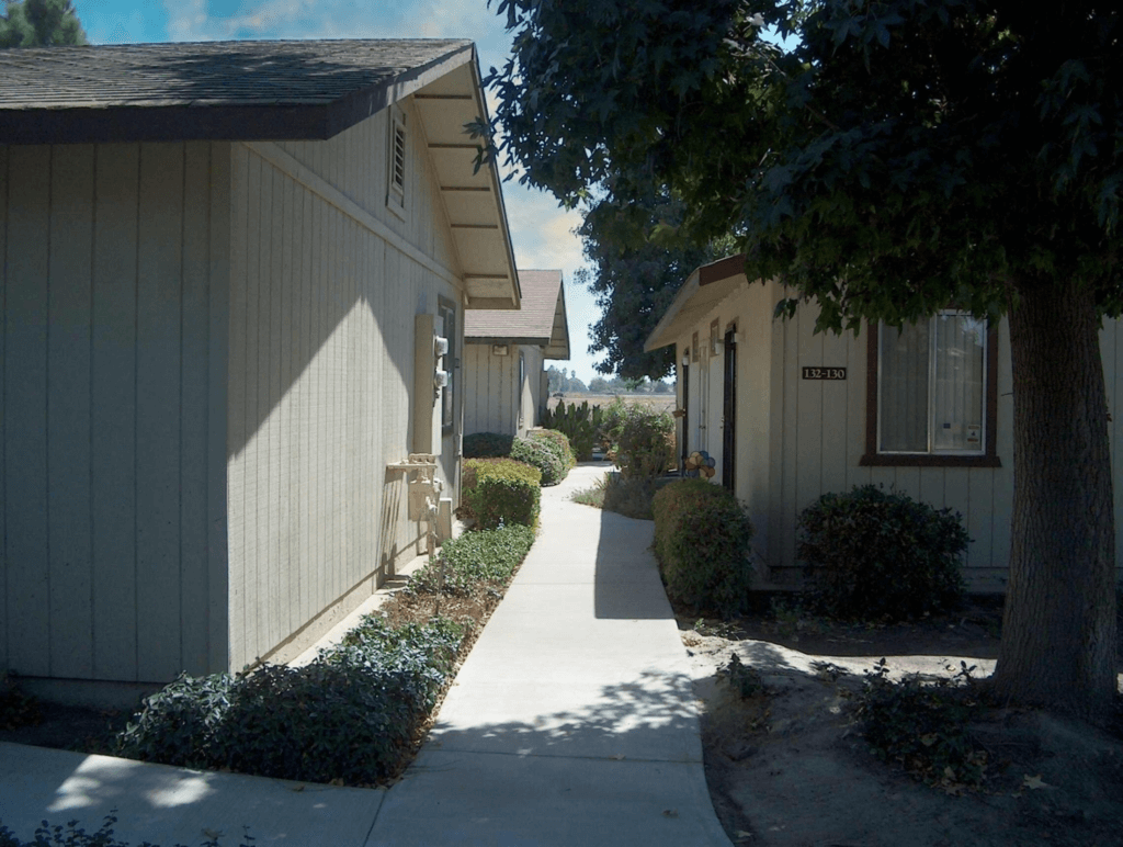 download (4)-fotor-20240606134931